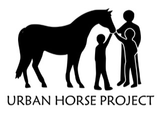Urban Horse Project